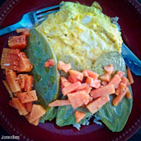 Open-faced omelet with grilled cactus pads and papaya and tamarind salsa
